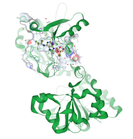 protein-ligand complex in SeeSAR