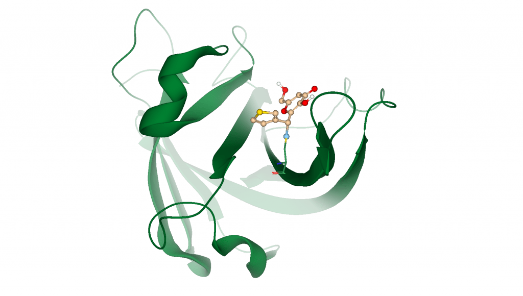 covalent docking of a ligand 