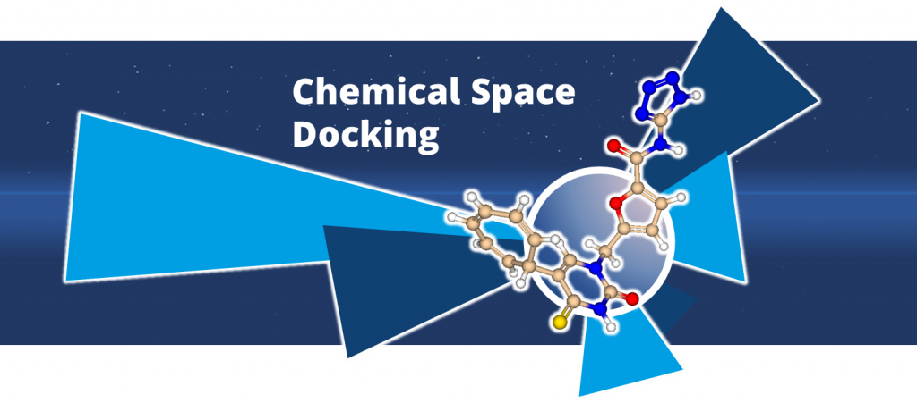 Chemical Space Docking at BioSolveIT
