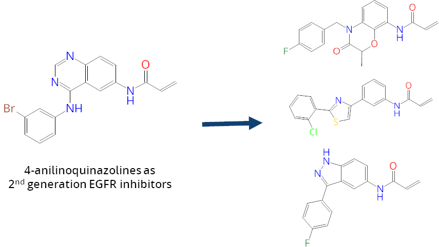 Novel scaffpold discovery of potential eGFR inhibitors