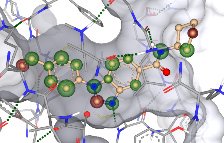 Drug Report Digest: K783-0308 redocked in SeeSAR