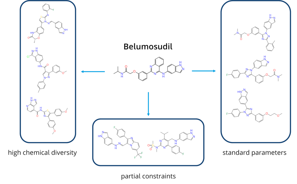 Chemical diversity exploration in the REAL Space Update with infiniSee