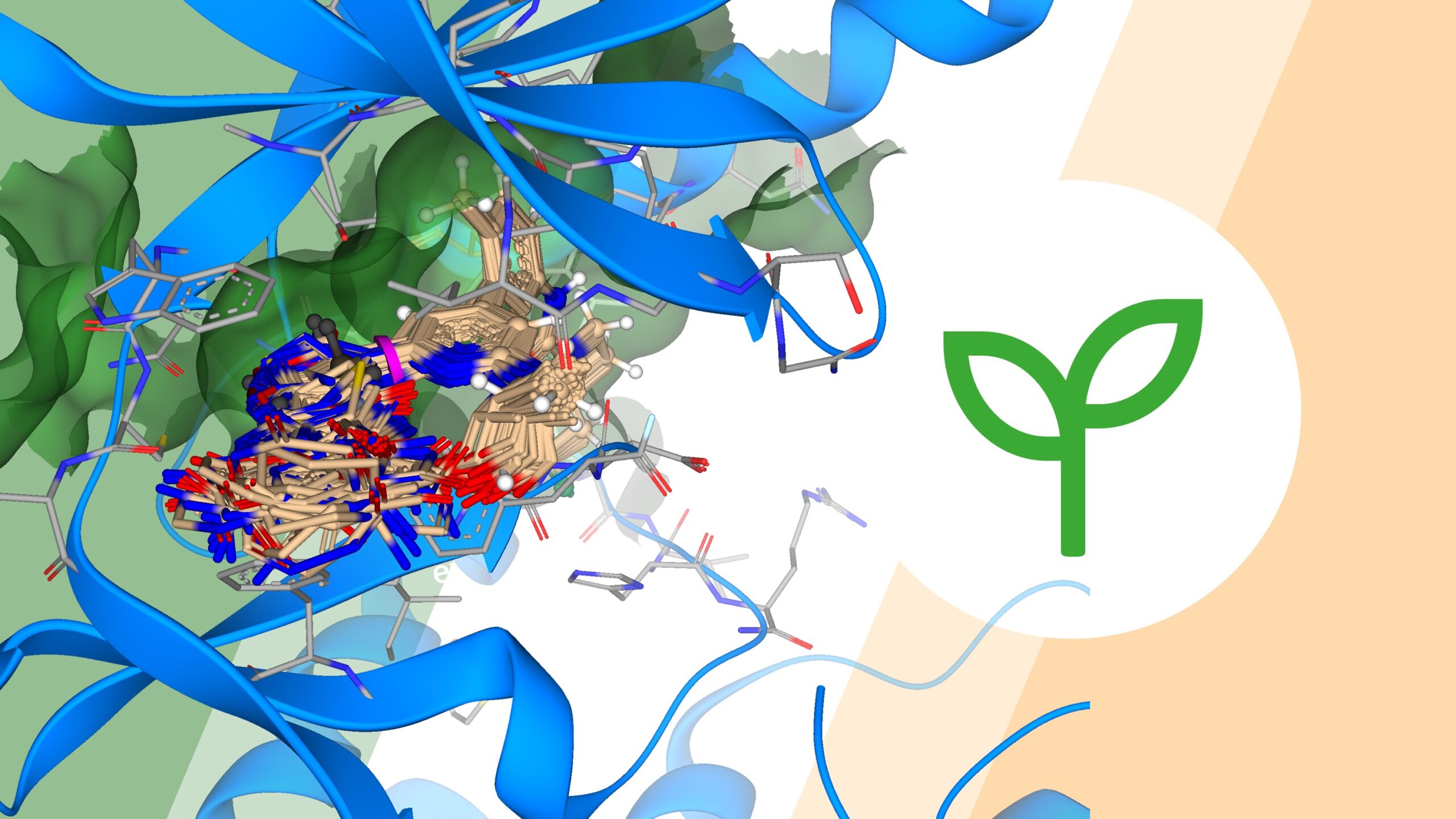 New FastGrow Library 51k Hinge Binding Motifs • BioSolveIT